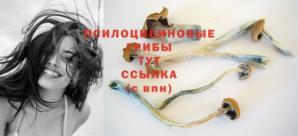 тгк Нижневартовск