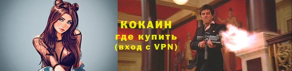 дживик Липки
