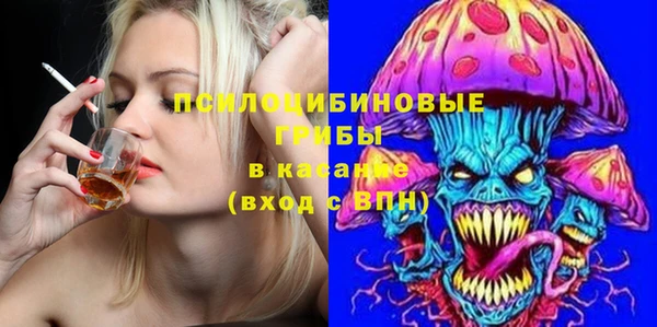 дживик Липки