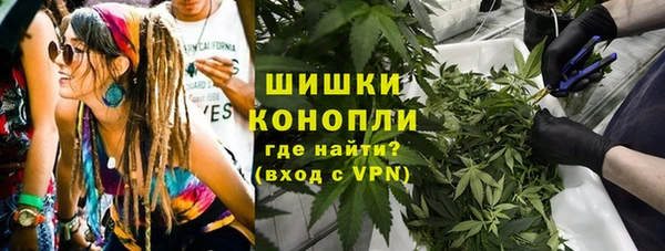 дживик Мурманск