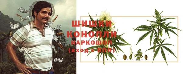 дживик Липки