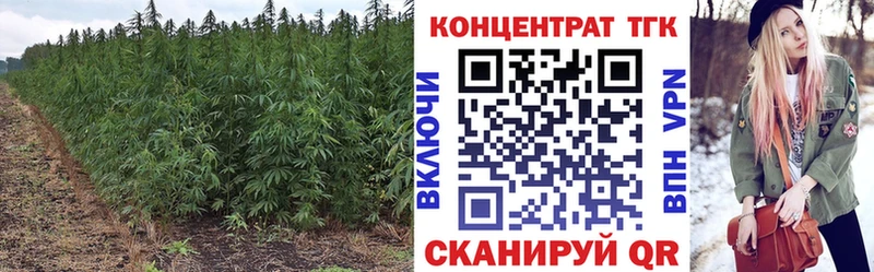 ТГК Wax  Купить где  Моздок 