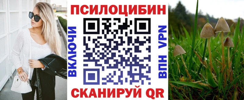 Галлюциногенные грибы GOLDEN TEACHER  Купить закладки  Моздок 